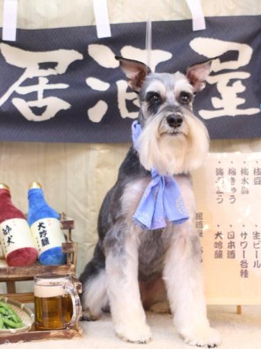 20240615銀次くん